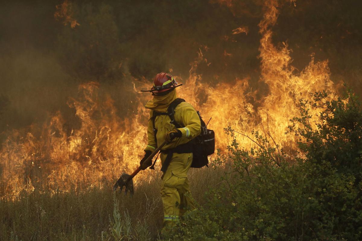 Wildfire