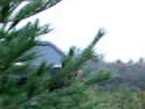 Outdoors Nuts And Bolts Of Wisconsin S Deer Hunt Outdoors Madison Com