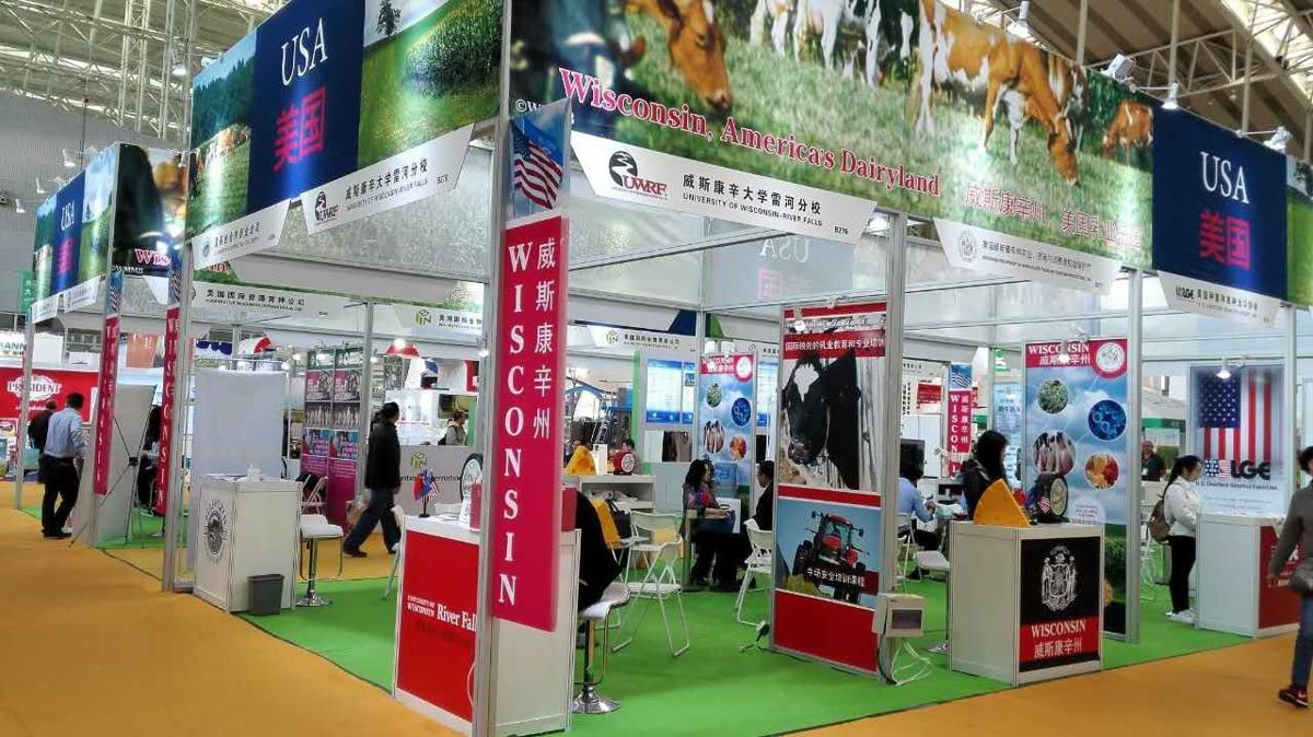Guinness-record cheese display helps China discover more ...