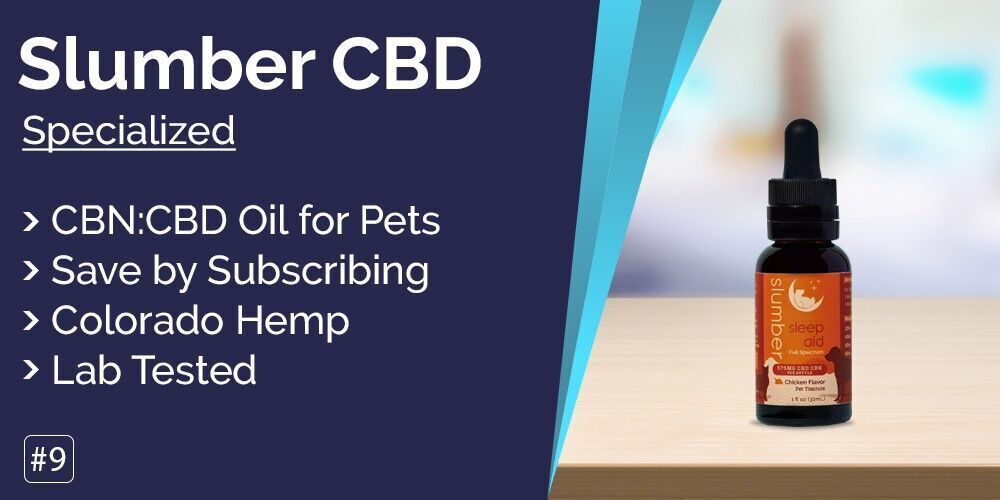Originated Media_Best CBD oil for dogs_img9.jpg