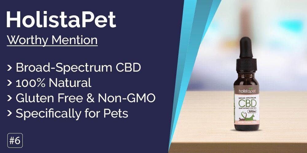 Originated Media_Best CBD oil for dogs_img6.jpg