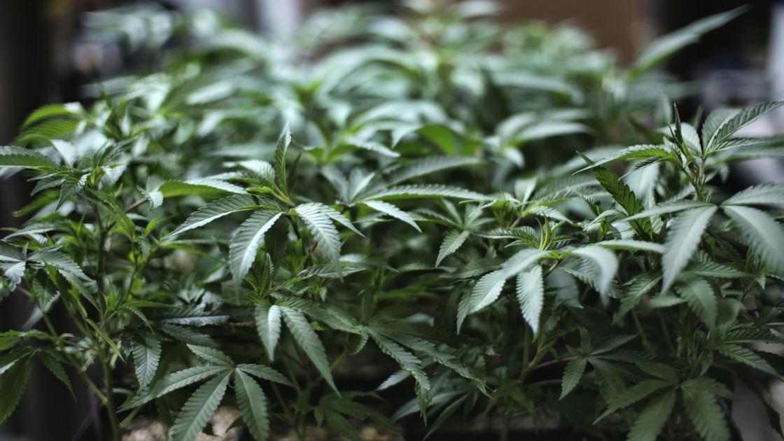 Wisconsin police continue to monitor potential effects of recreational marijuana in Illinois