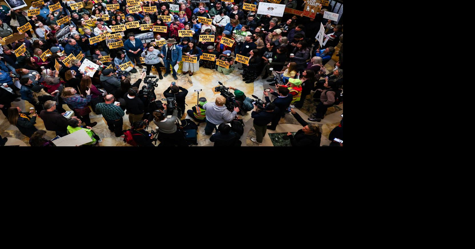 Photo of the day: Animal rights activists call for legislative action