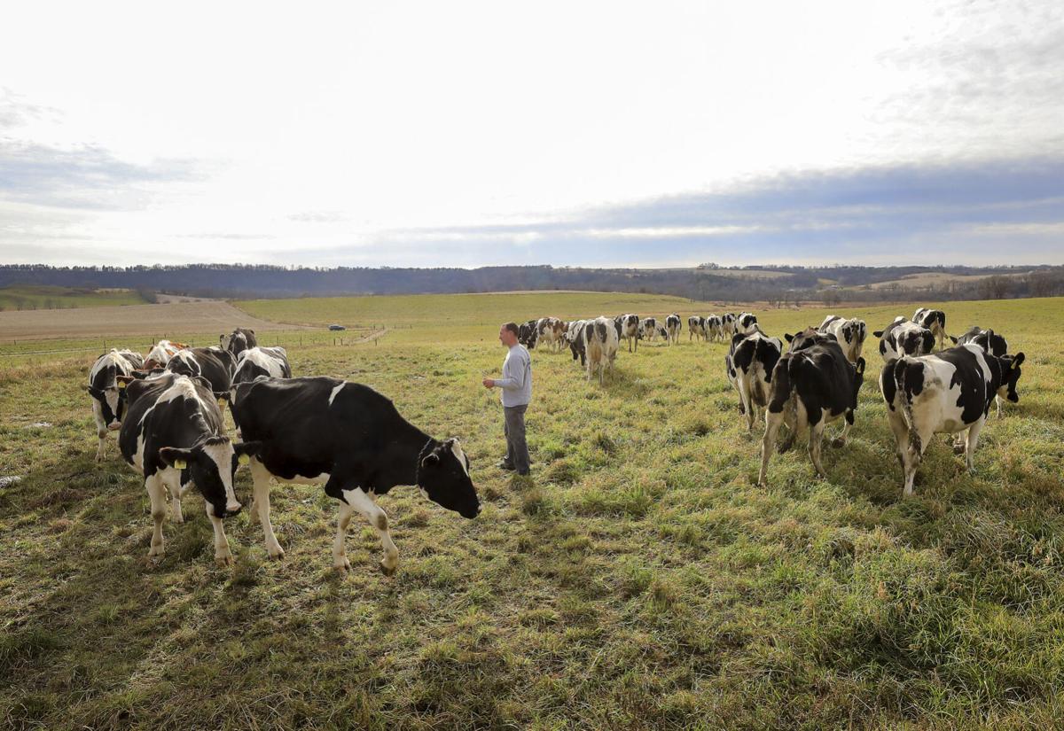 Grazing