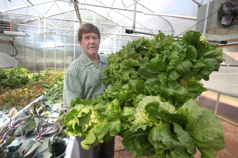 patrick: share aquaponics system wholesale