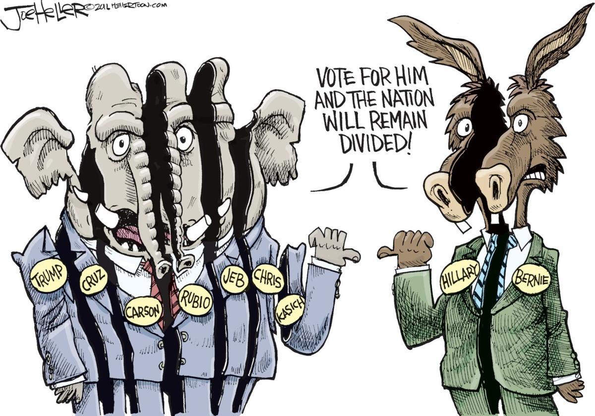 The elephants and donkeys are divided