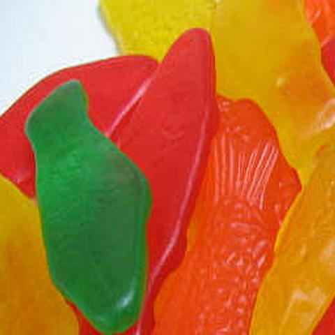 Swedish Fish Melting Endangered By Global Warming Daily Cardinal Madison Com