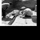 Simple log structure is 476,000 years old - Vimarsana News