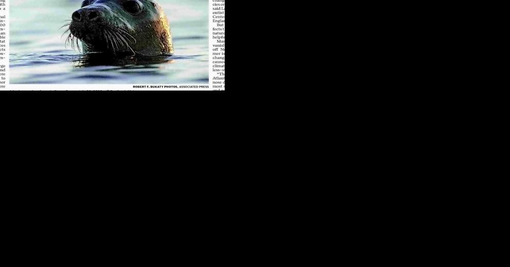 Marine mammals in US face major threats - Vimarsana News