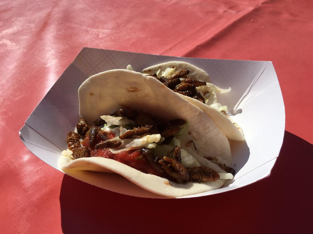 Bug Tacos