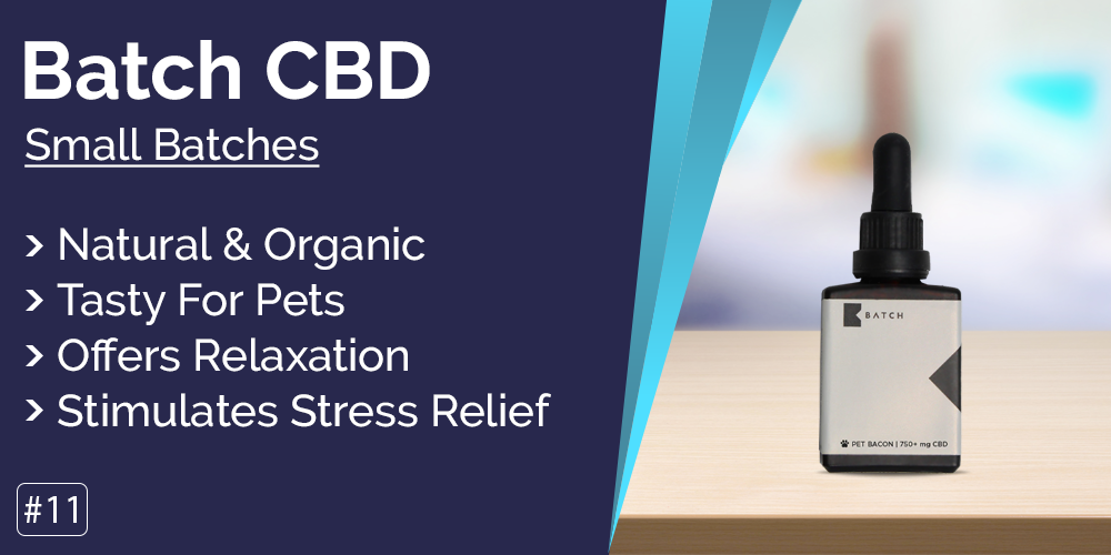 Originated Media_Best CBD oil for dogs_img11.jpg