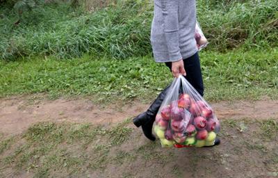The Corner Table Podcast An Apple A Day Dining Madison Com