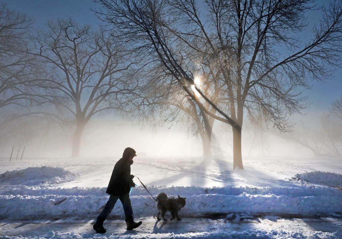 Walking dog in park photo