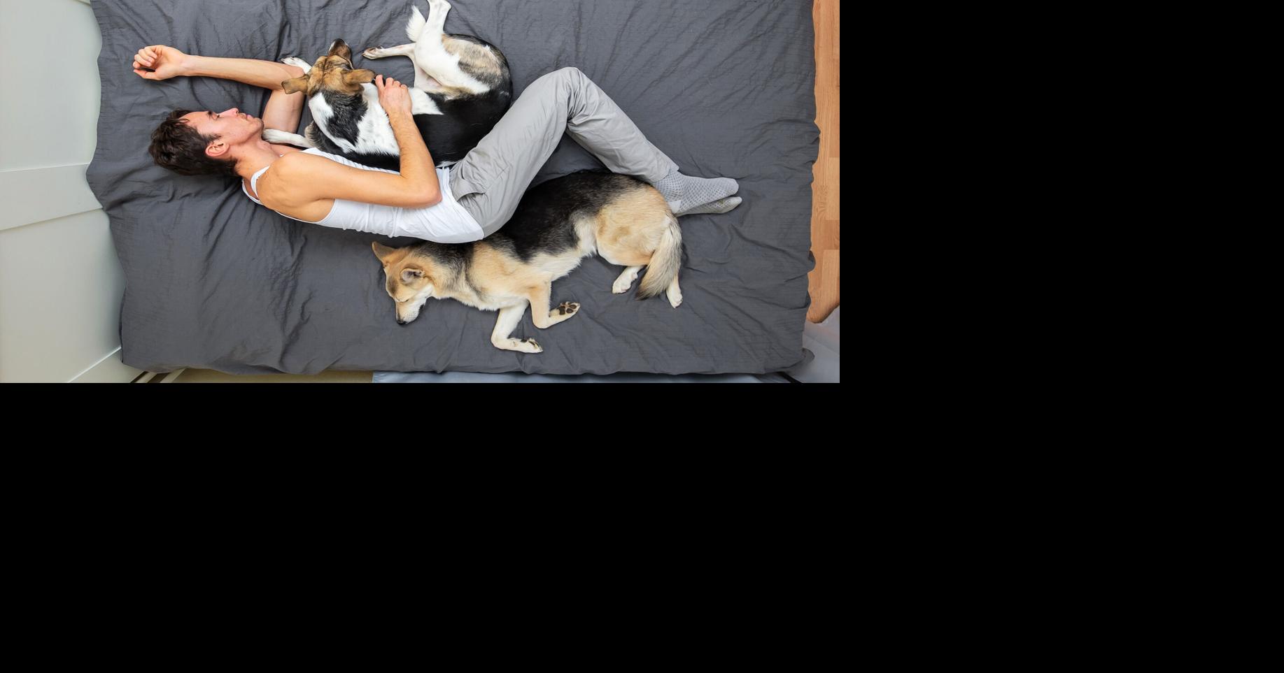 How do we stop our dogs from waking us up at night?