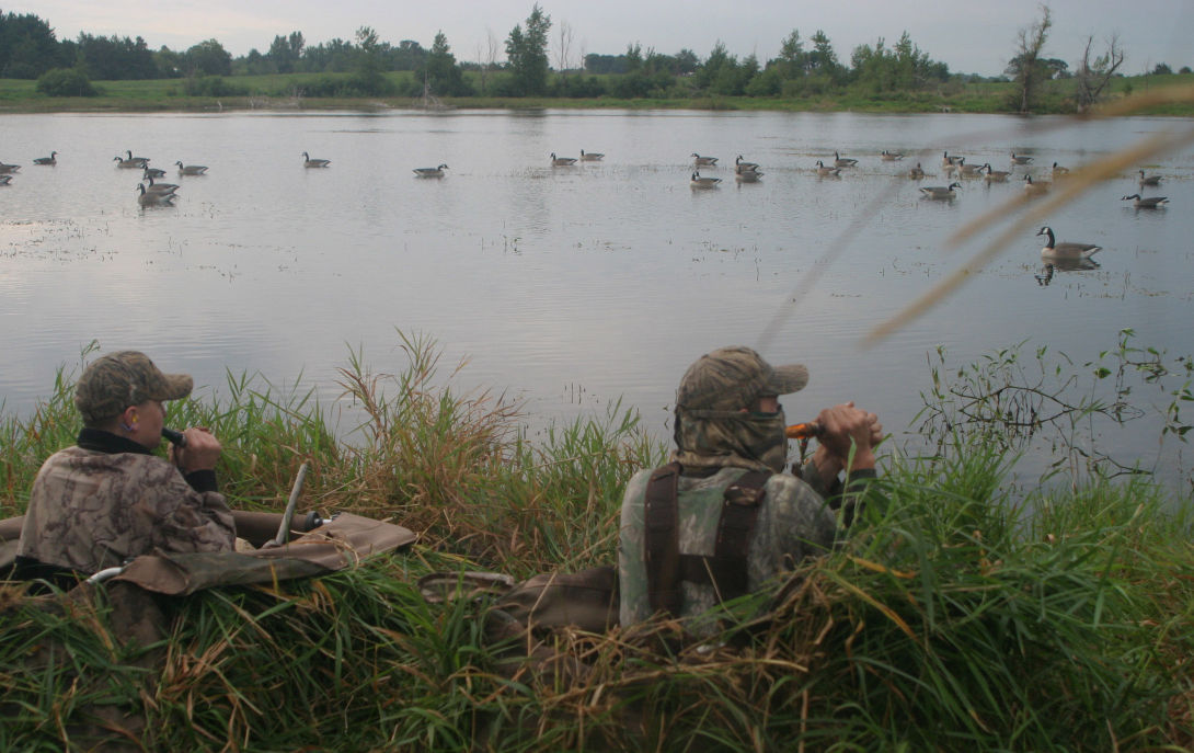 Gary Engberg Dove, teal, and goose seasons on the horizon Outdoors