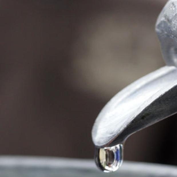 Just Ask Us Does Tapping Maple Trees Cause Harm Just Ask Us Madison Com