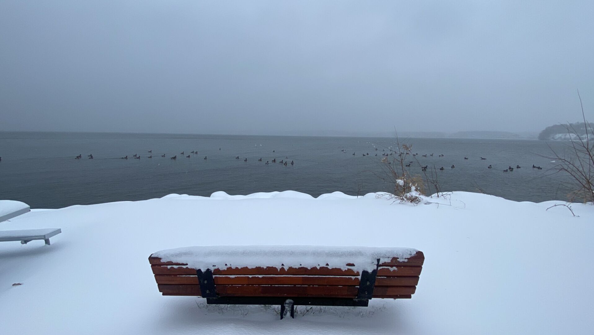 Here's How Much Snow Fell In Madison And Wisconsin