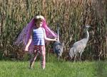 FREE AS A BIRD