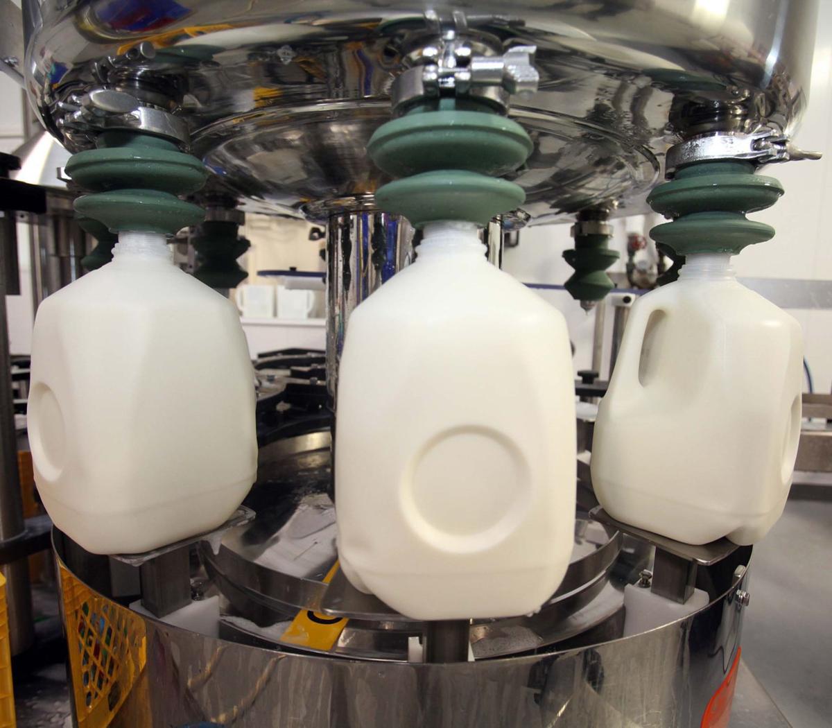 How much dairy does the average American consume in a year?