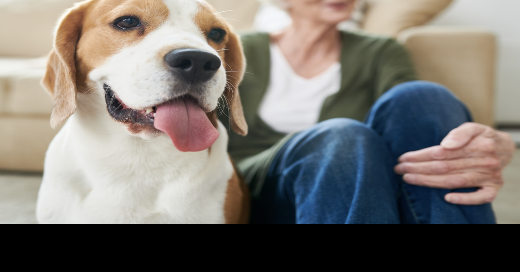 These were the most popular pet names at UW last year