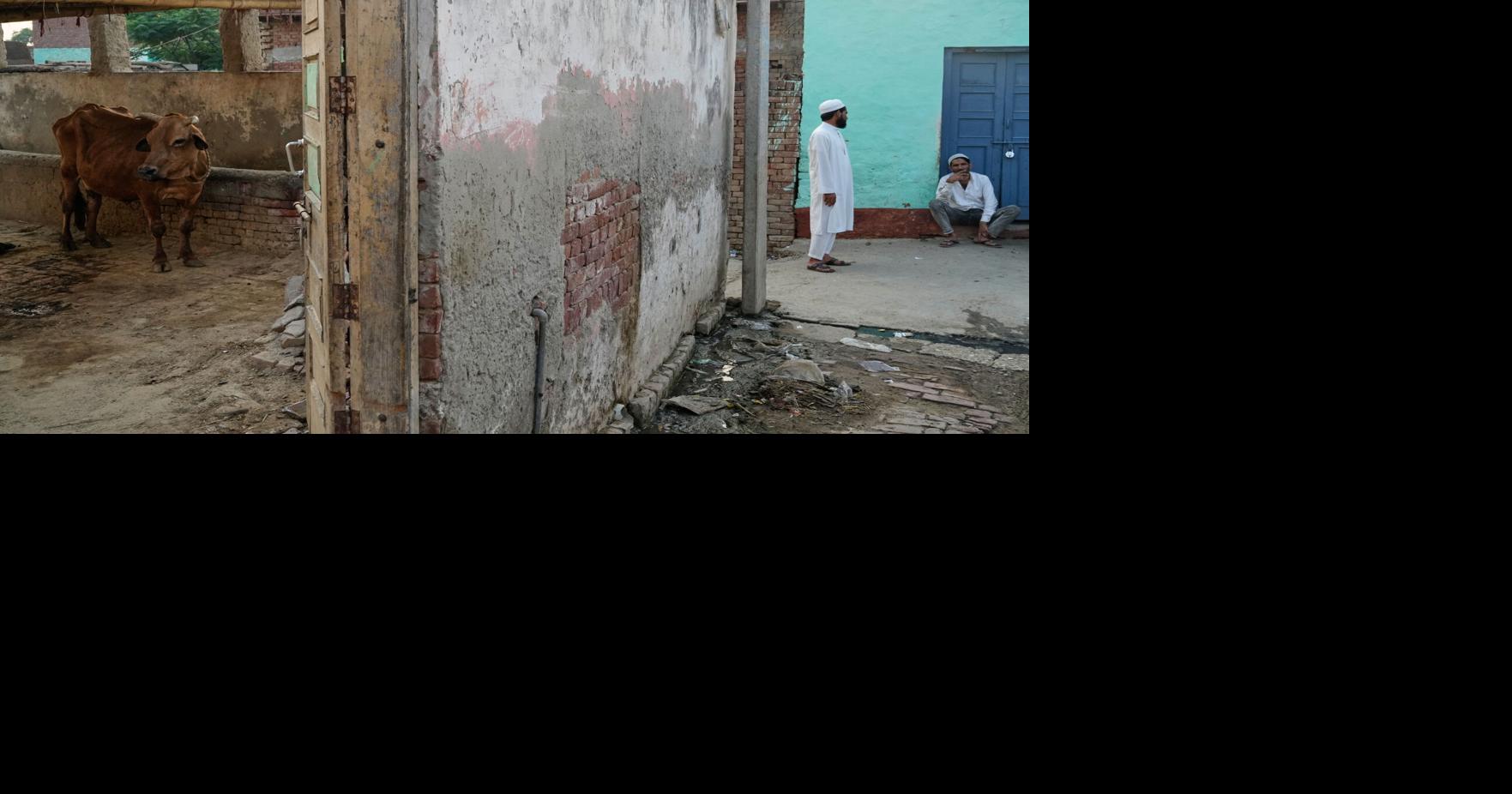 In India, police shootings of alleged cow smugglers raise alarm about ...