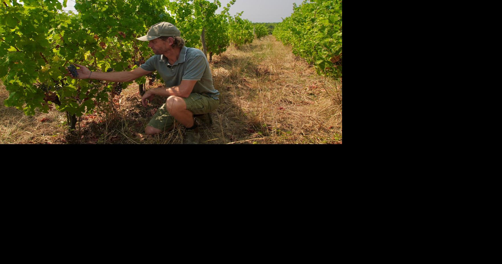 Wildfires near Bordeaux bring more troubles to France's wine industry Wildfires near Bordeaux are hurting the wine region's economy
