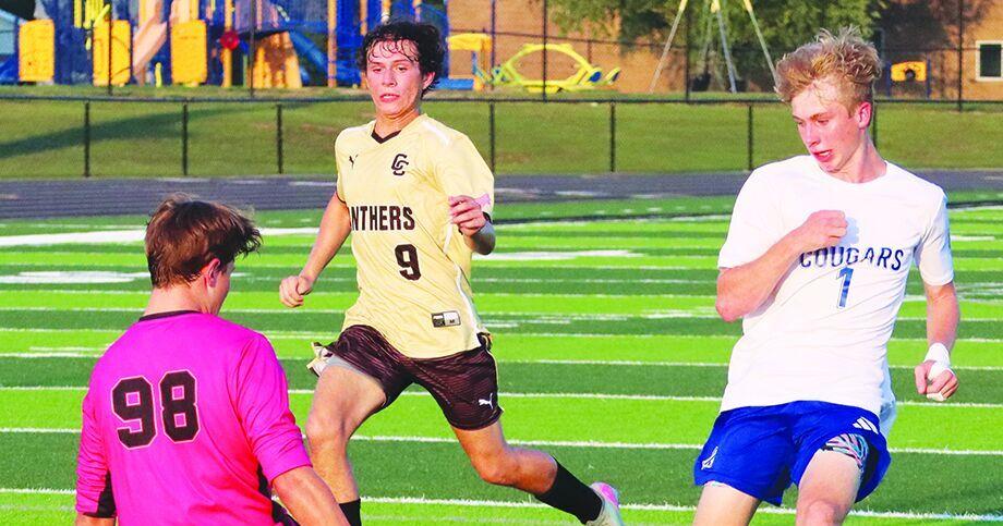 Walston-Parrish hauls Panthers over Cougars