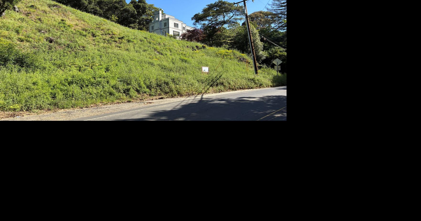 California landowners who cut 38 trees in Oakland hills hit with $915,000 fine A California city has fined a couple $915,135 for cutting down 38 trees By DARWIN BONDGRAHAM/The Oaklandside - The Oaklandside May 6, 2026 14 mins ago