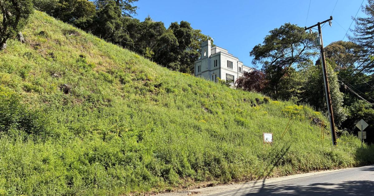 California landowners who cut 38 trees in Oakland hills hit with $915,000 fine A California city has fined a couple $915,135 for cutting down 38 trees By DARWIN BONDGRAHAM/The Oaklandside - The Oaklandside May 6, 2026 14 mins ago