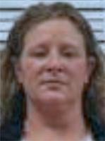Madison woman facing multiple felony fraud, theft charges
