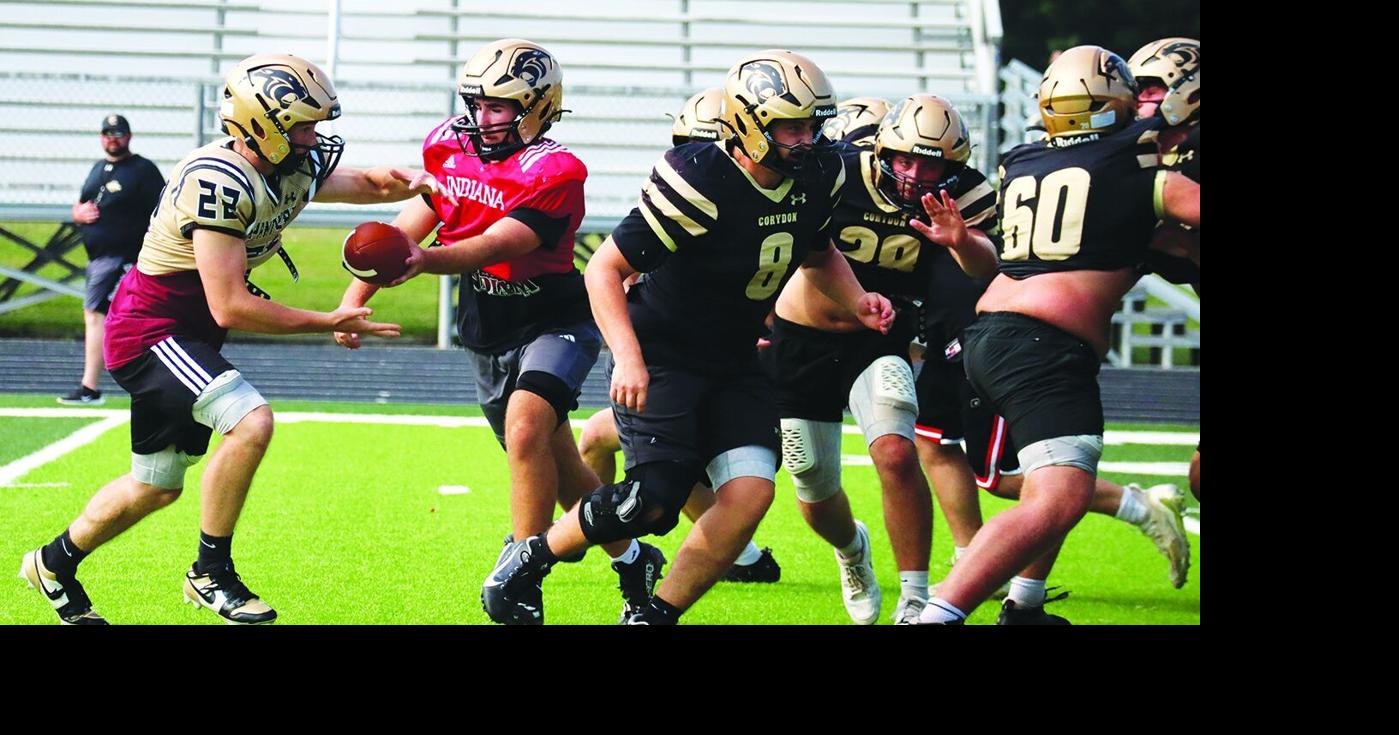 Senior-heavy Panthers ready to keep building in 2026