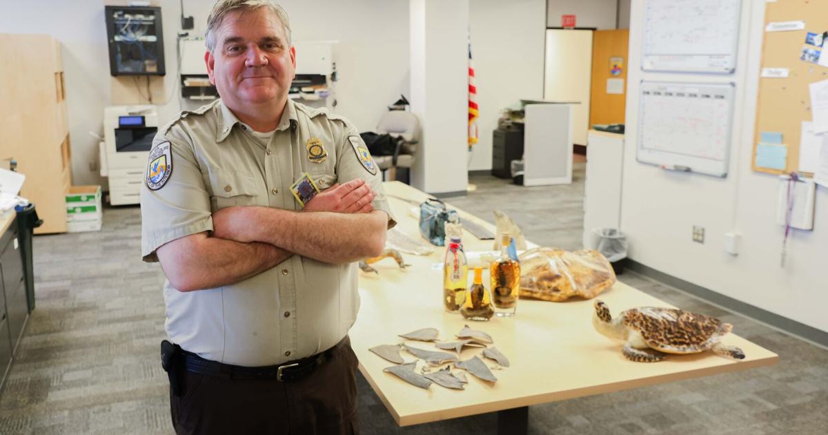 ‘Hey, this box stinks': the weird work of intercepting trafficked wildlife in Alaska Chris Andrews is a wildlife inspector for the U.S. Fish and Wildlife Service