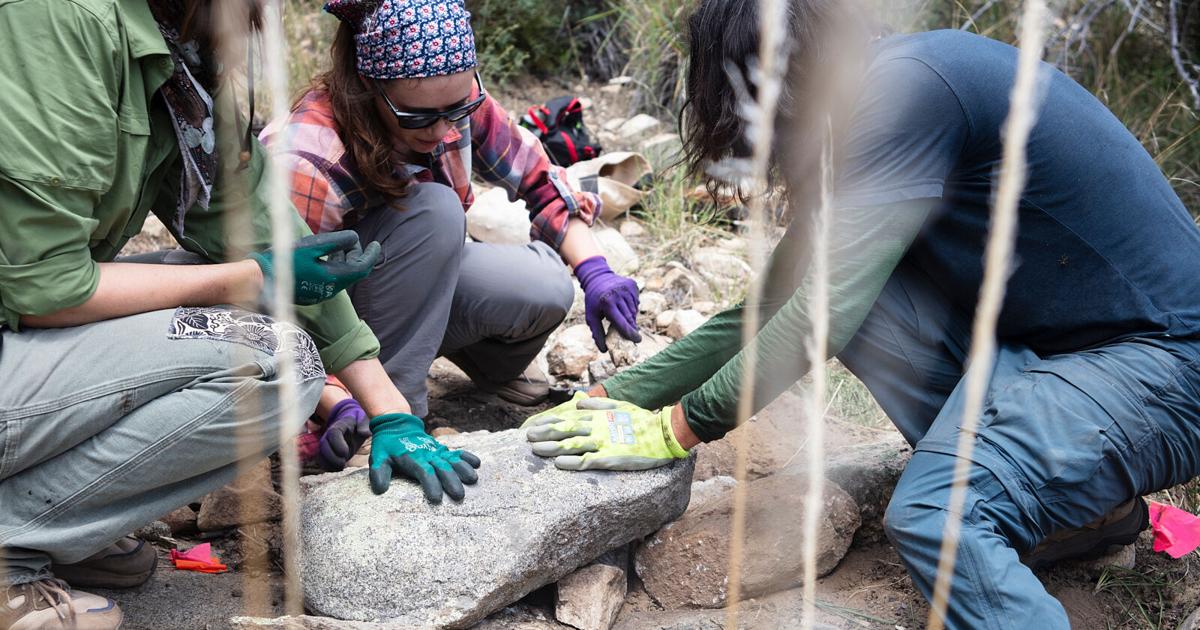 On Mount Lemmon, volunteers give unemployed rocks a new job: Erosion control Volunteers with the Sky Island Alliance are building erosion control structures on Mount Lemmon in Arizona