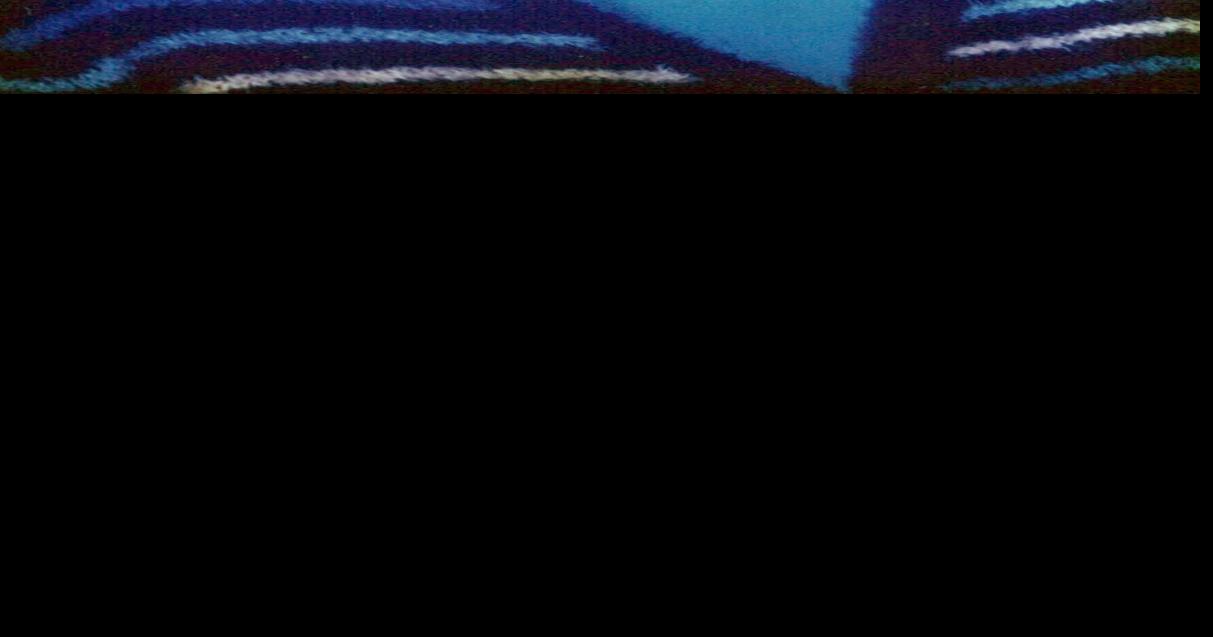 Glenda Lee Burchett Boone Corydon Democrat