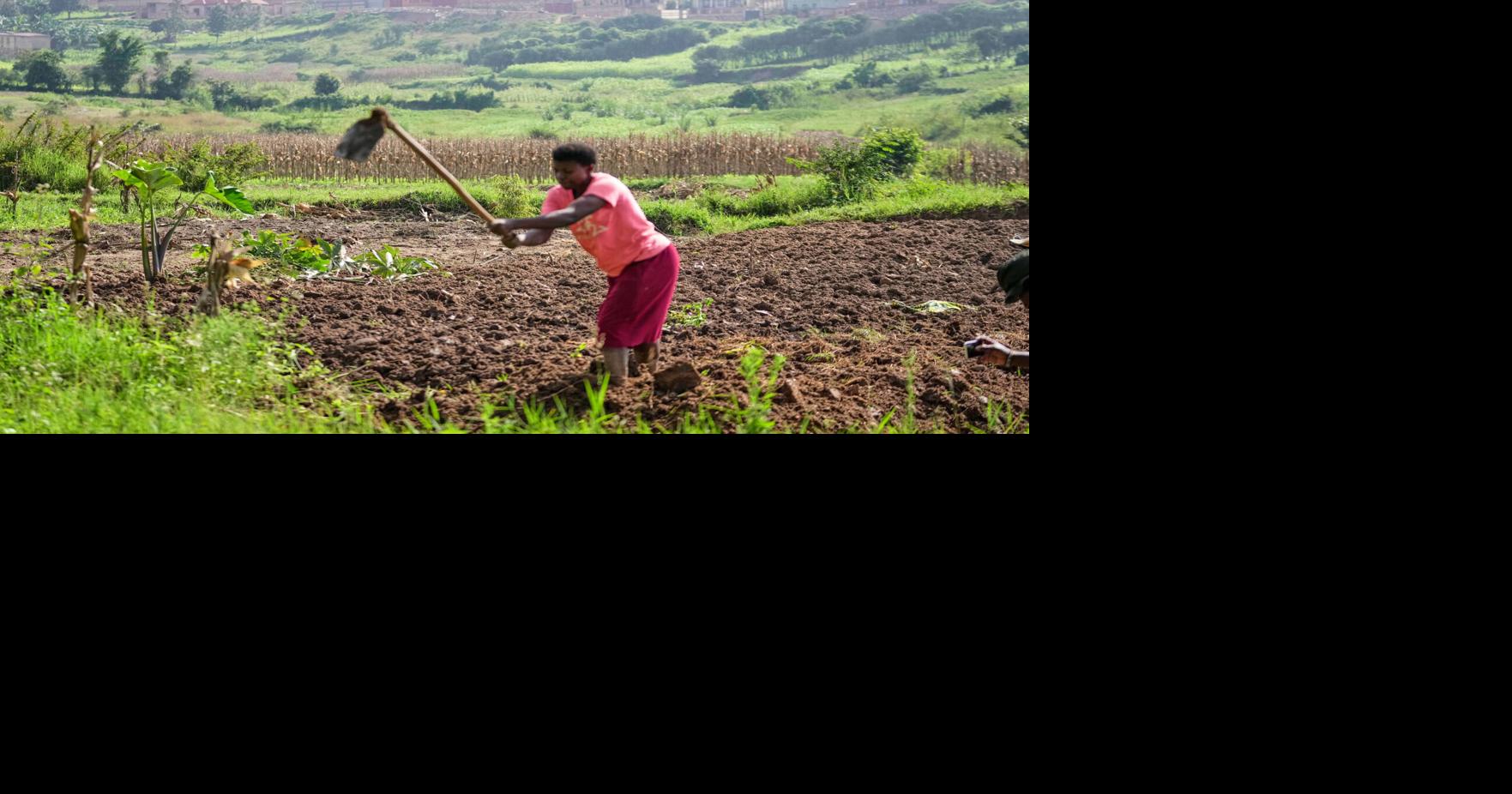 Rwanda tries to protect farmland in Africa's most densely populated nation