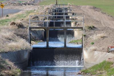 Wet spring bodes well for irrigators
