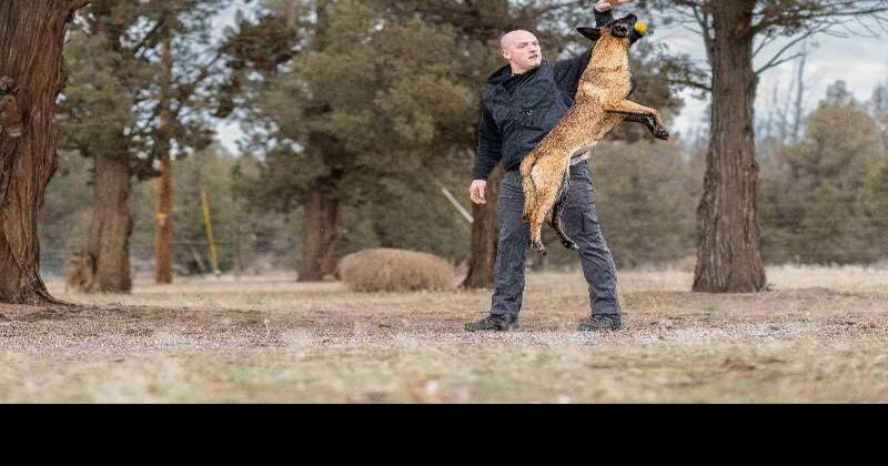 Culver protection dog trainer Matt Folsom has become viral TikTok