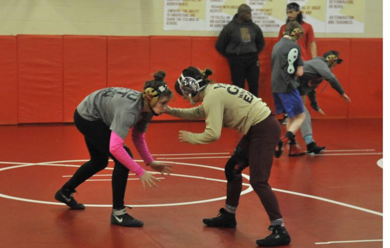 Wrestlers