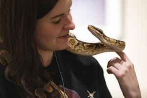 Children get face-to-face with snakes during Reptile Revue at the Herrett Center