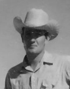 Obituary: Dale Herman Petersen
