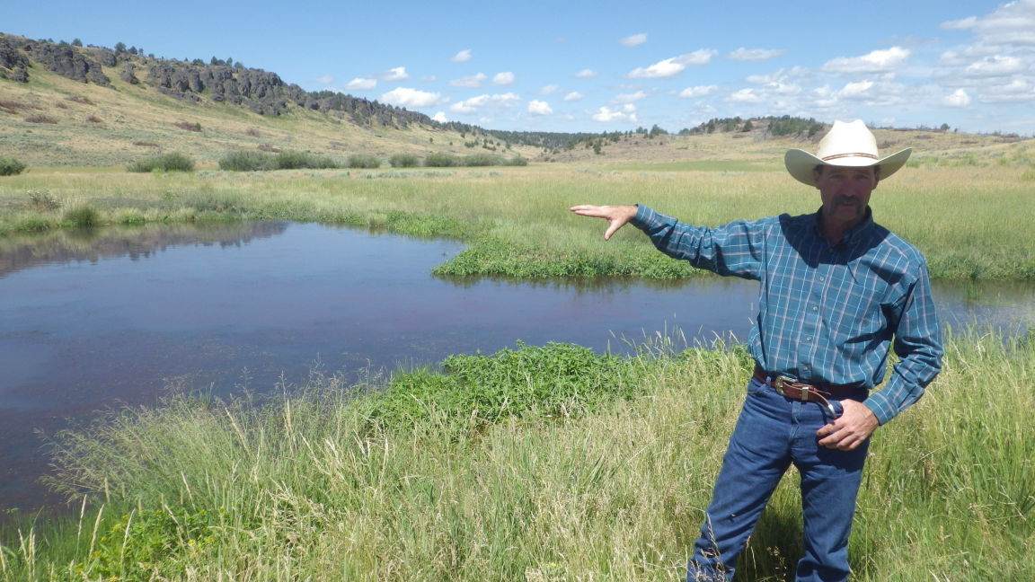 Ranchers Create Ponds, Wetlands in Owyhee County Southern Idaho