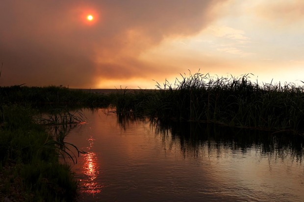 Kinyon Road Fire