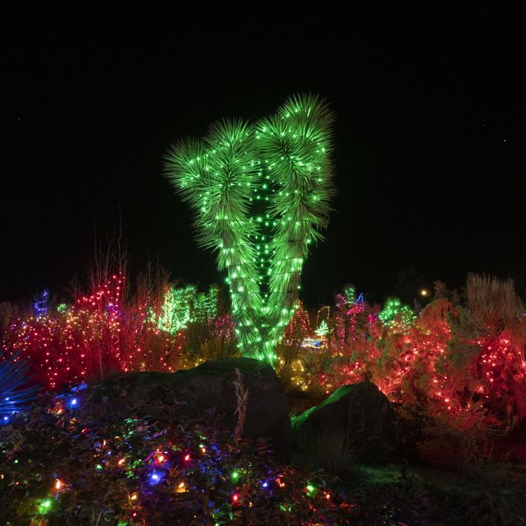 Where to see Christmas lights in Twin Falls this holiday season