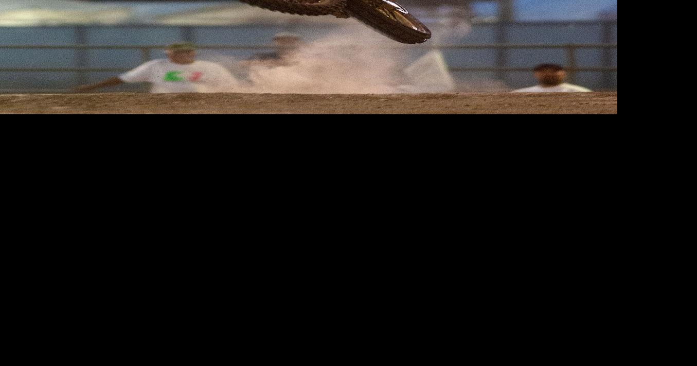 Lots of action left for the Cassia County Fair & Rodeo