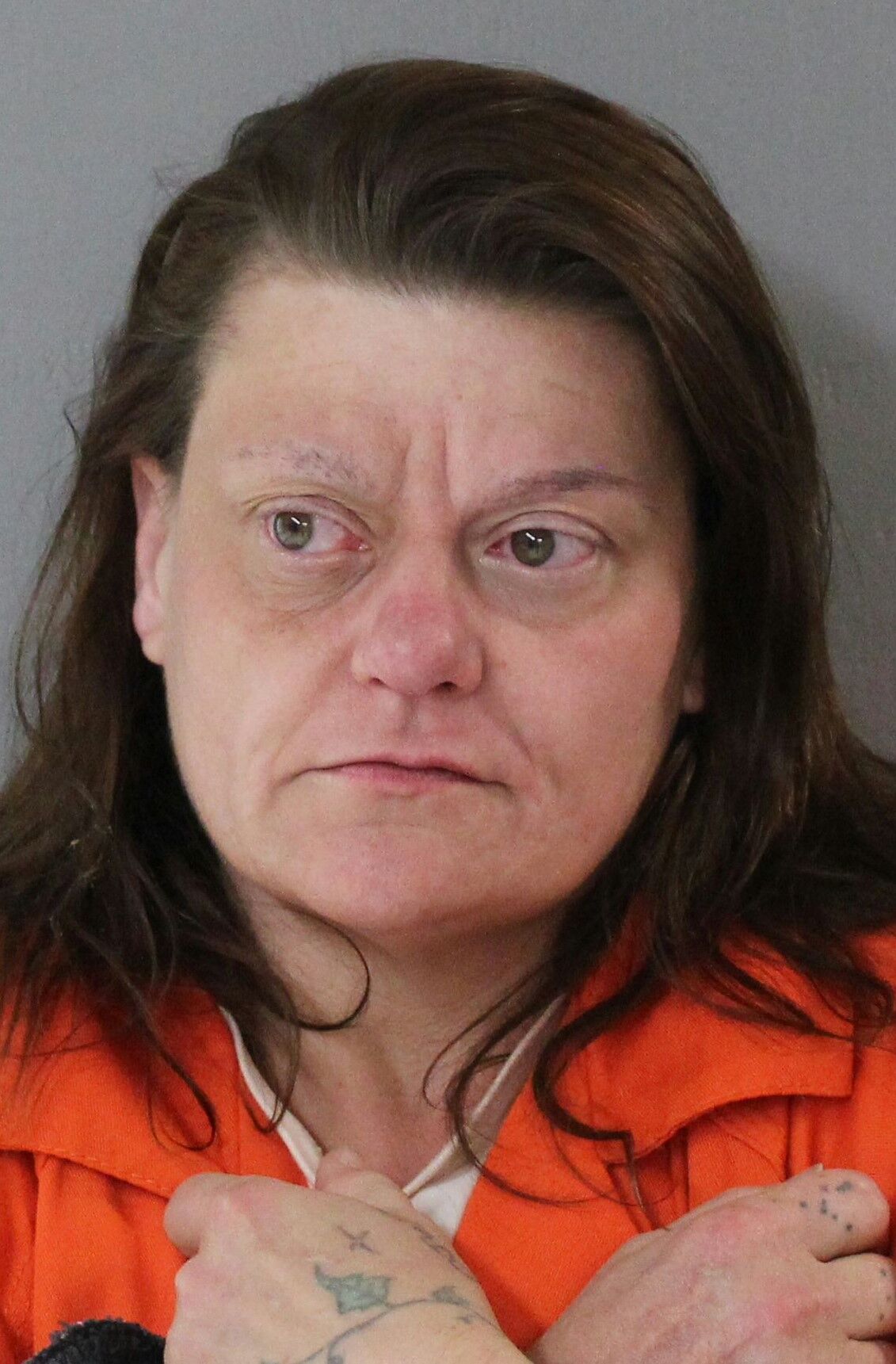 Twin Falls woman charged with meth drug trafficking