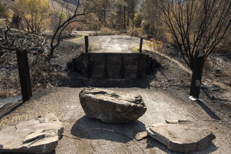 Rock Creek Canyon burn areas