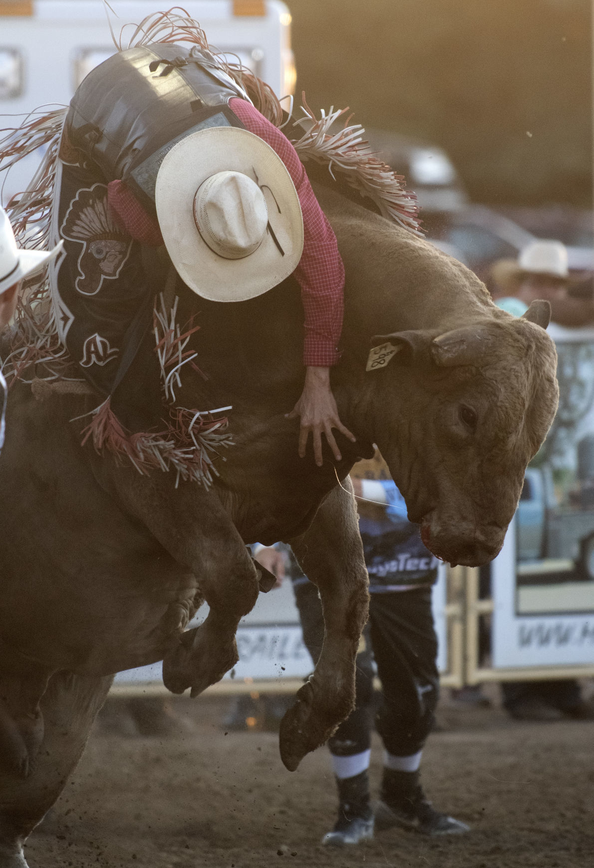 An Xtreme night at the Gooding Rodeo Local