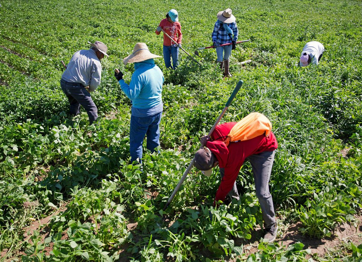 Migrant workers
