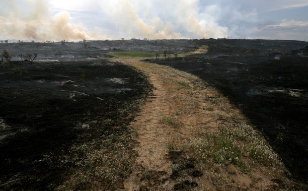East Devils Corral Fire