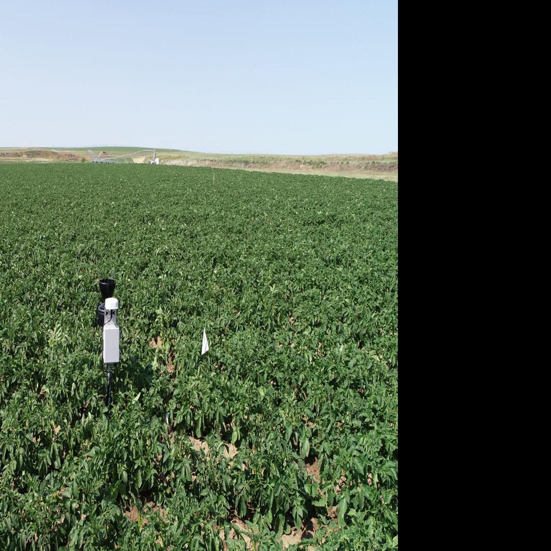 New Methods And Technologies Help Irrigation Systems Become